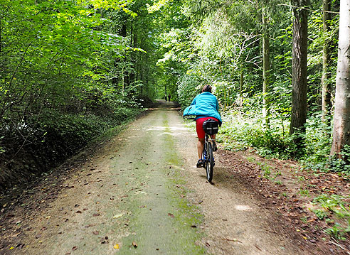 Radweg durch den Wald hinauf nach Denkendorf