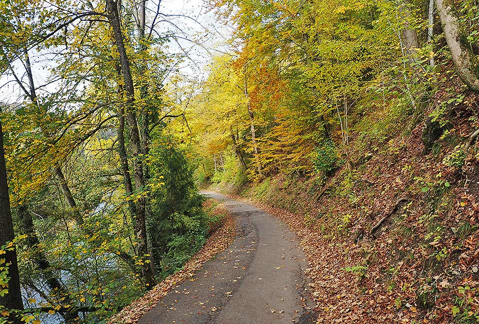 Herbstliche Radtour auf dem Neckarradweg von Schwenningen nach Horb