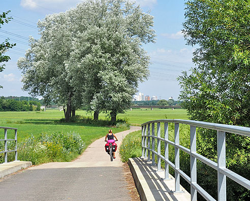 Radweg entlang den Main-Donaukanal und Ludwigskanal