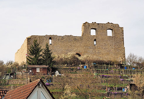 Burgruine Altsachsenheim