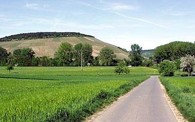 Distelhausen