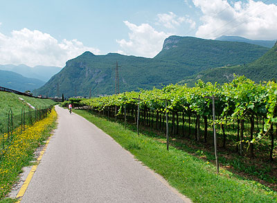 Vor "Serravalle all Adige"