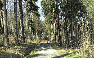 Waldetappe auf dem Würmtalradweg