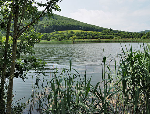 Großer Teich in Untermaßfeld