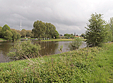 Naturschutzgebiet bei Nienburg