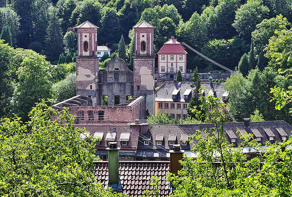 Blick von oben auf die Ruine des Klosters FRauenalb