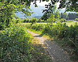 Trail bei Erlendorf