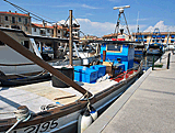 Hafen in Grado