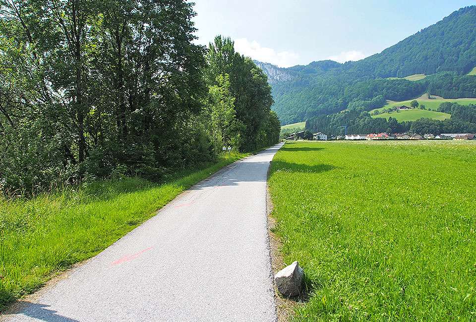 Radweg am Salzachufer