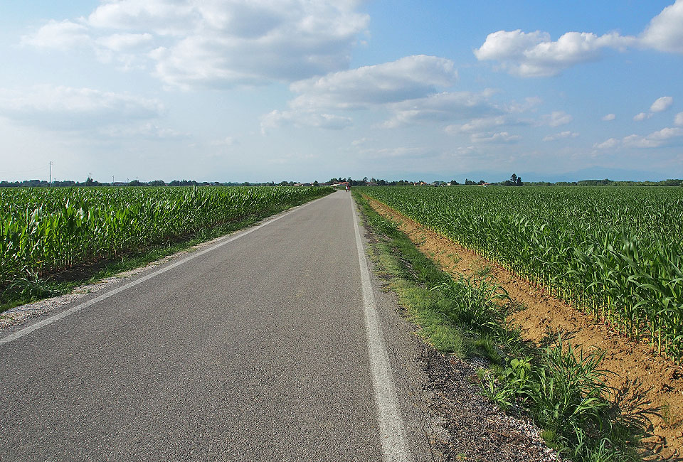 Kerzengerade nach Süden