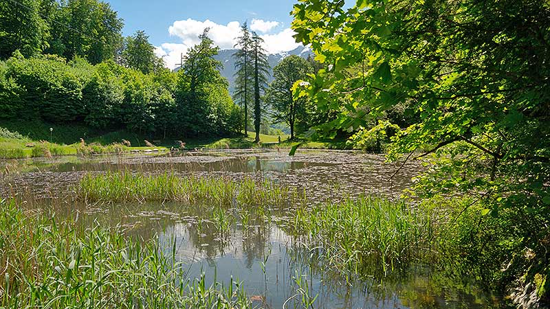 Etappenort Golling an der Salzach