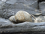 Stilleben aus Fels