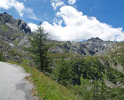 Baumgrenze bei 1800 Metern