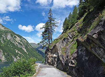 Traumhafter Weg am See