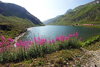 Oberalpsee