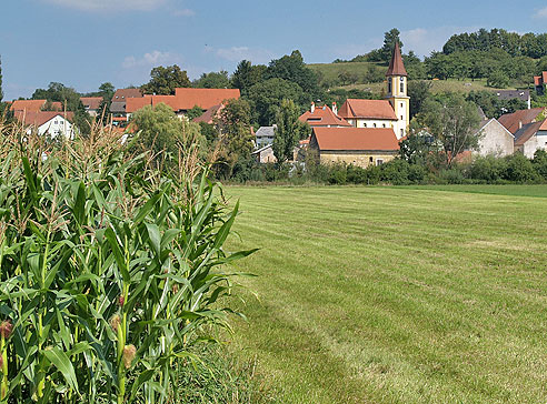 Blick auf Bubenheim