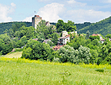 Blick auf Burg Pappenheim