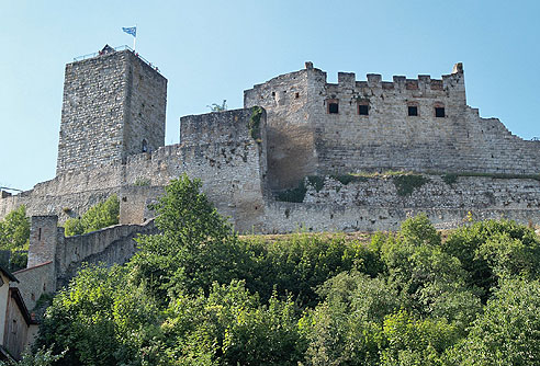 Blick auf Burg Pappenheim