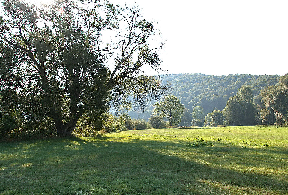 Traumhafte Altmühlaue