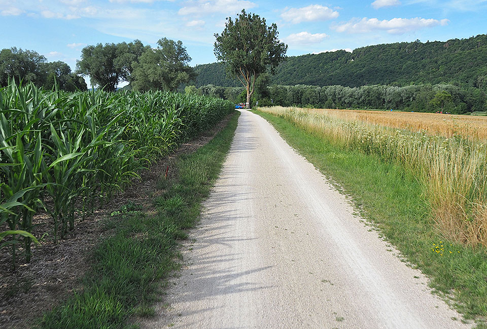 Radweg zum Kratzmühlsee