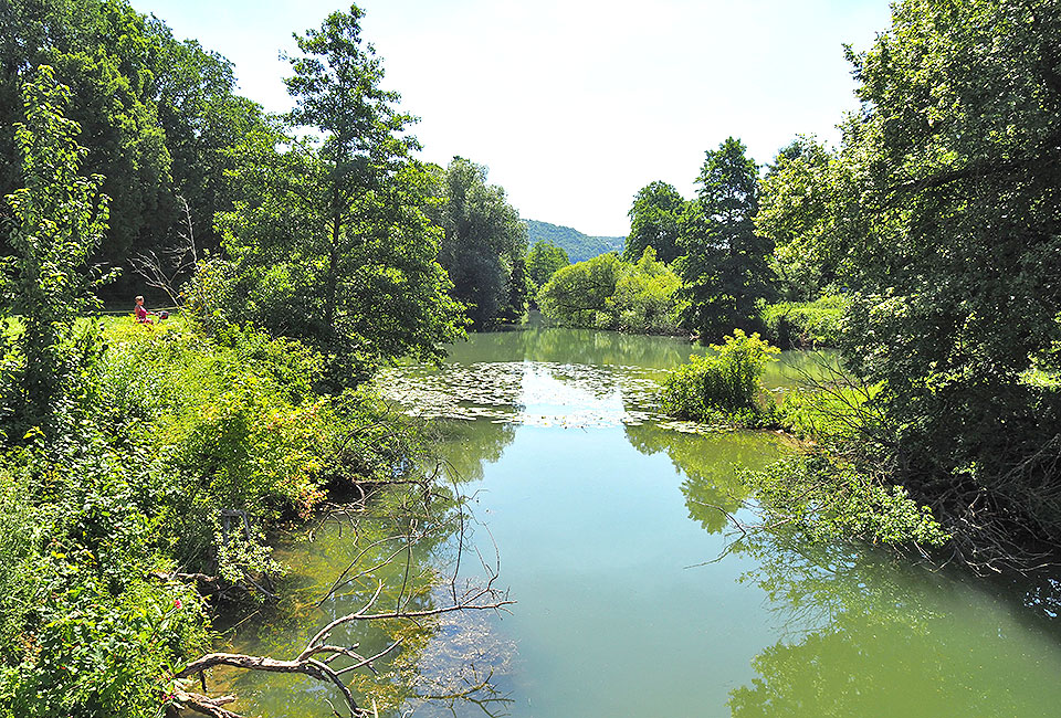 Reste des Ludwigskanals