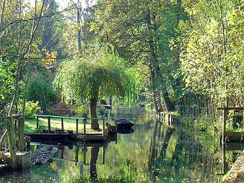 AugustusTours: Elberadweg