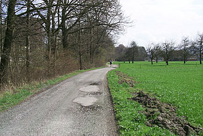 Waldetappe vor Rheineck