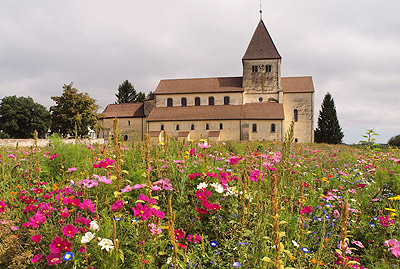 St. Georg im Blütenmeer