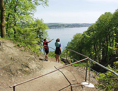 Bodenseeradweg: Blick auf den See