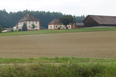 Bodenseeradweg: Blick auf den See