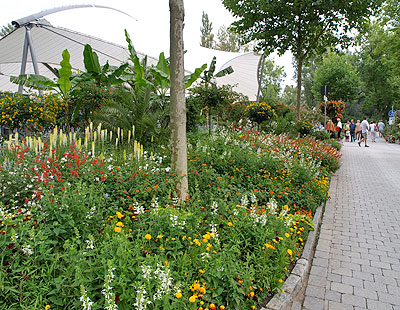 Bodenseeradweg: Ein bisschen Mainau