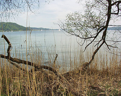 Bodenseeradweg: Seeende des Überlingersees