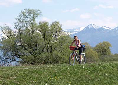 Auf dem Hochwasserdamm
