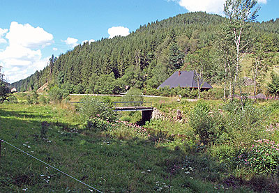 Landschaft hinter Bräunlingen