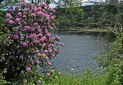 Klostersee in St. Georgen