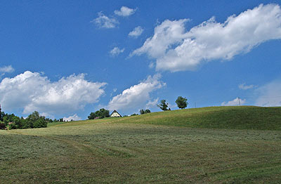 Saftige Wiesen