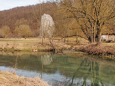 Bindstein im Brenztal