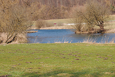 Mäander durch die Wiesen