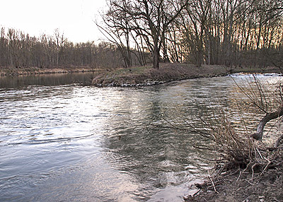 Brenzmündung in die Donau