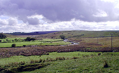 Moorlandschaft bei Princetown