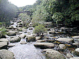 West Dart River
