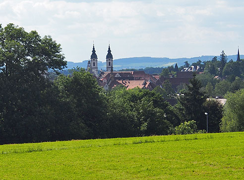 Blühender Lein