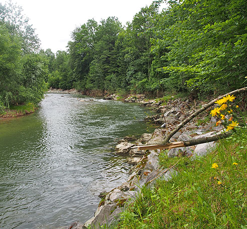 Radlerbrücke