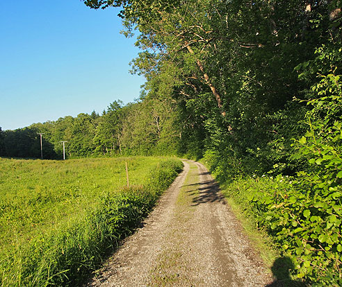 Mahlweiher im Tal