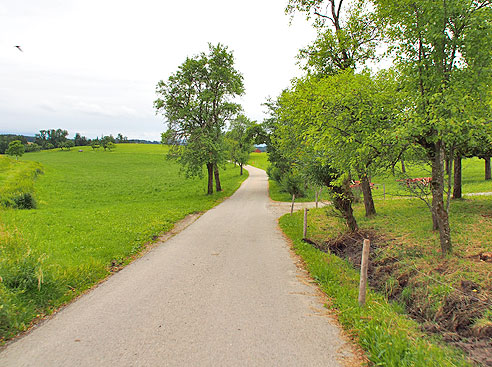 Durch wellige Landschaft