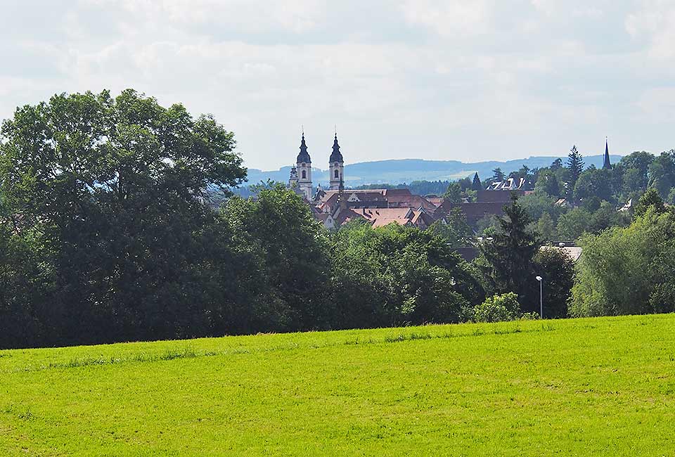 Bad Waldsee am Horizont