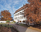 Schloss in Mühlheim