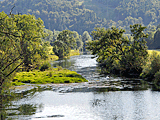 Donauradweg: Vor Gutenstein