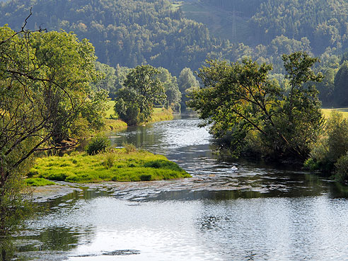 Donau vor Gutenstein