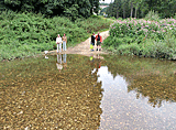 Wasser in der Donau